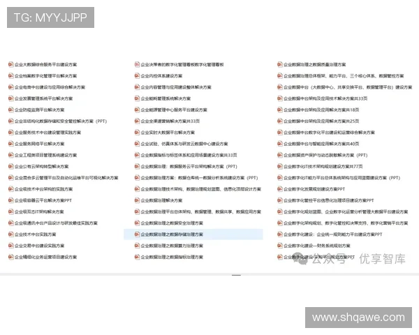 南特明日计划：管理之道初探